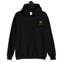 Load image into Gallery viewer, Mastelarso Unisex Hoodie